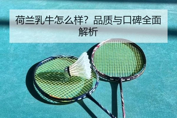 荷兰乳牛怎么样？品质与口碑全面解析 | qusports