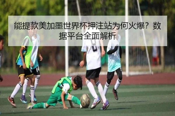 能提款美加墨世界杯押注站为何火爆？数据平台全面解析