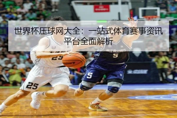 世界杯压球网大全：一站式体育赛事资讯平台全面解析
